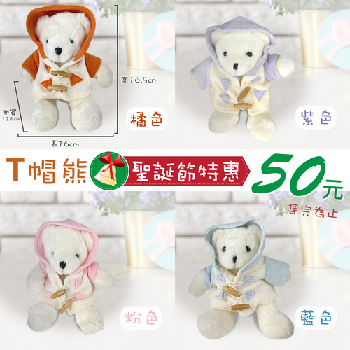 T帽熊 <br>玩偶飾品<br>工廠直營批發零售客製